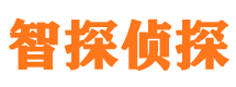 临淄市私家侦探